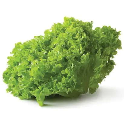 Brietta / Бріетта