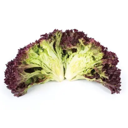 Wilbur / Вілбур