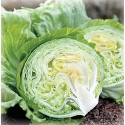 Wismar / Вісмар