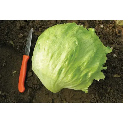 Gondar / Гондар