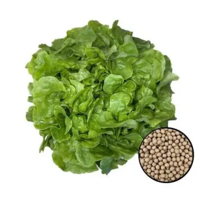 Дублянський