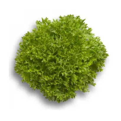 Expertise / Експертайз