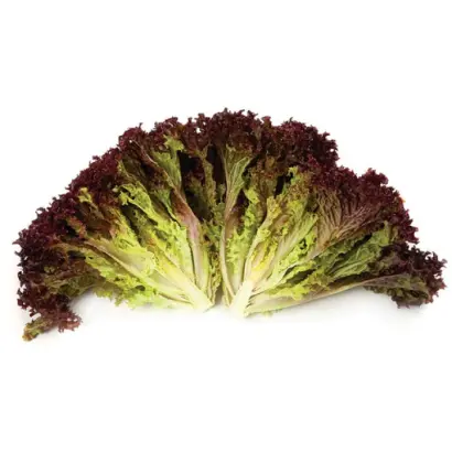 Carmesi / Кармесі