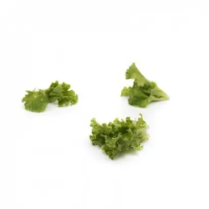 Coulthard / Култхард