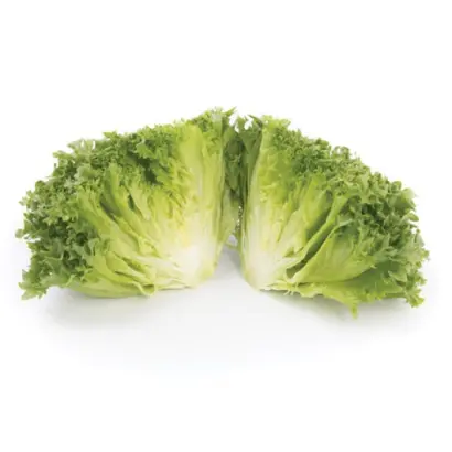 Lalique / Лалік