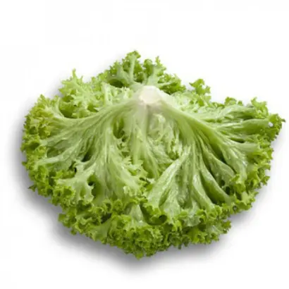 Levistro / Левістро