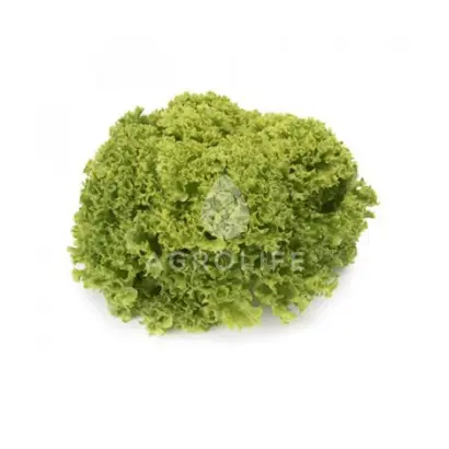 Limassol / Лімасол