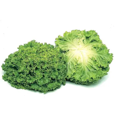 Funly F1 / Фанлі F1