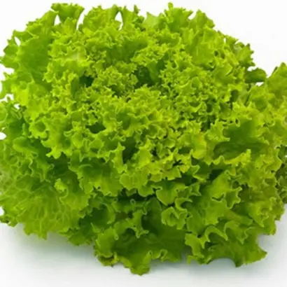 FRISOLE / ФРІСОЛ