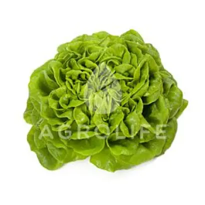 Archimedes / Архімедес