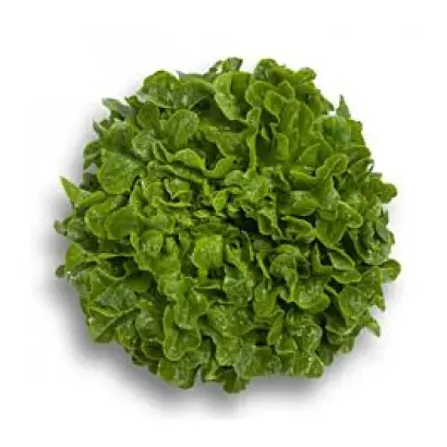 Humboldt / Гумбольдт