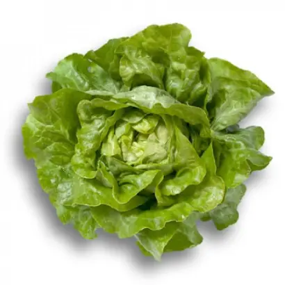 Jiska / Джиска