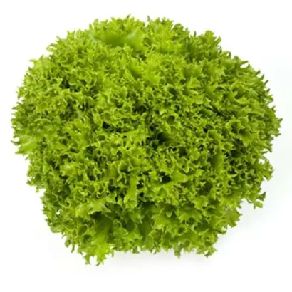 Explore / Експлор