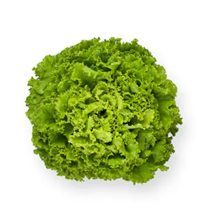 Imagination / Імеджінейшн