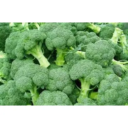 Kaftan / Кафтан