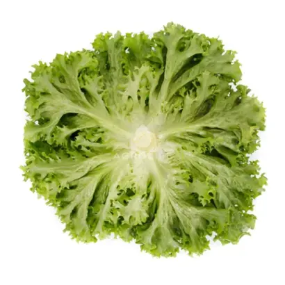 Lisboa / Лісбоа