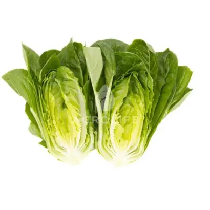 Rabello / Рабелло