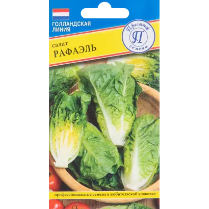 Rafael / Рафаель