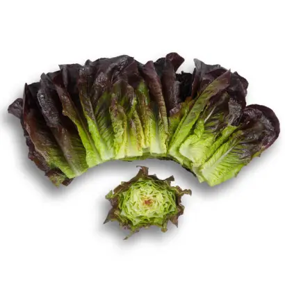 Thurinus / Турінус