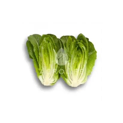 Auvona / Айвона