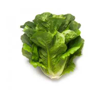 Armilla / Армілья