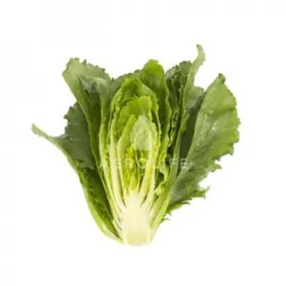 Verodita / Веродіта