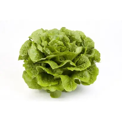 Octavius / Октавіус