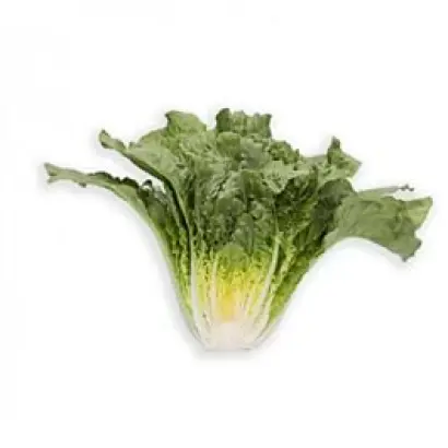 Tacitus / Тацитус