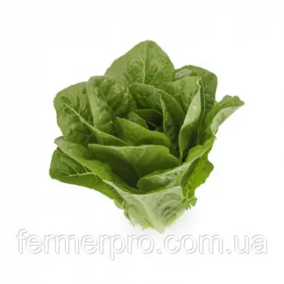 Tuccadona / Тукадона