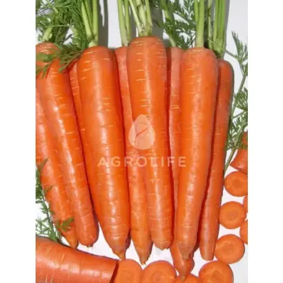 Ablixo F1 PS / Абликсо F1