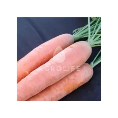 Afalon / Афалон