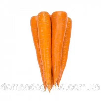 Warmia / Вармія