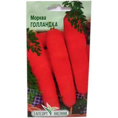 Gollandka / Голландка