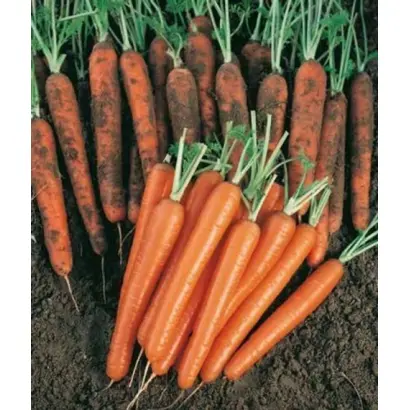 Diamento / Діаменто