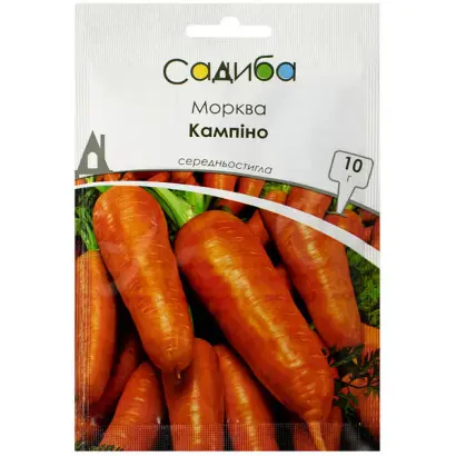 Kampino / Кампіно