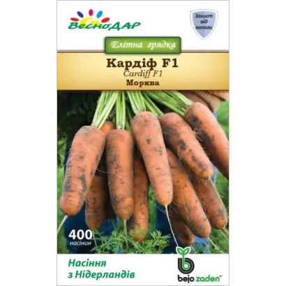 Cardiff F1 / Кардіф F1