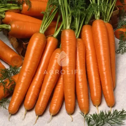 Carlano / Карлано