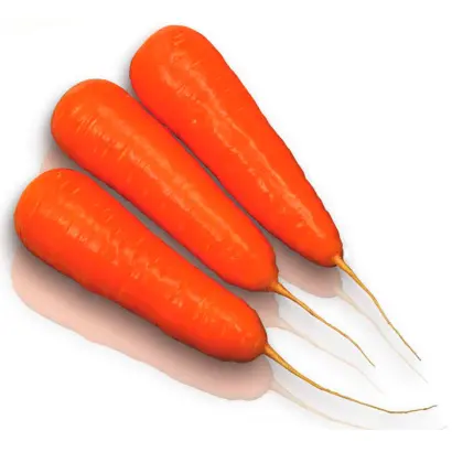 Kuroda Chantenay / Курода Шантане