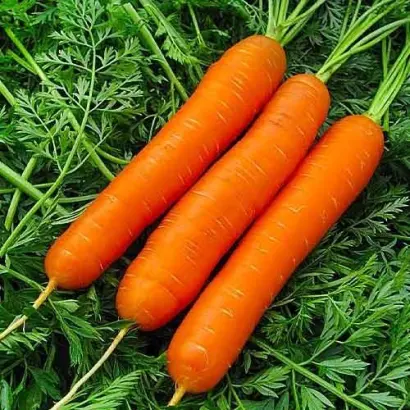 Langesvyt Fruitful / Лангесвит Фрютфул