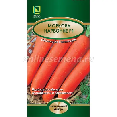 Narbonne F1 / Нарбоне F1