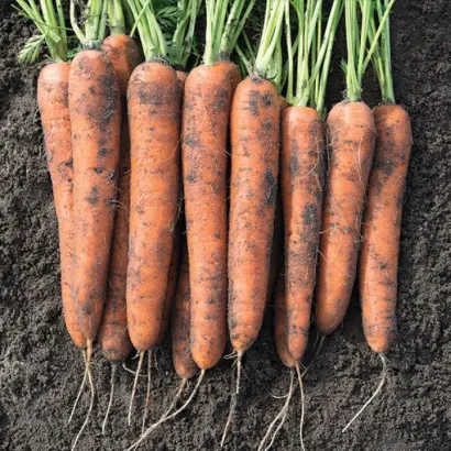 Norway / Норвей