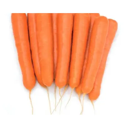 Octavo / Октаво