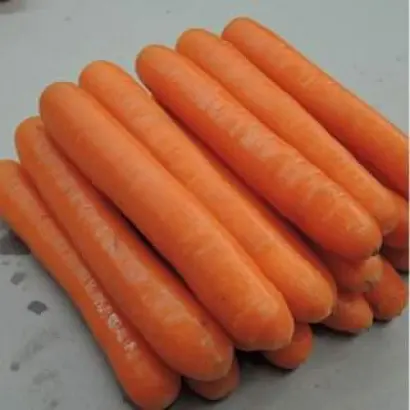 POLYDOR / ПОЛІДОР