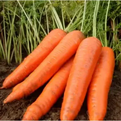 Rockfire / Рокфаєр