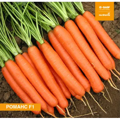 Romance / Романс