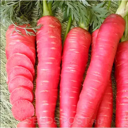 Rubyprince / Рубіпринц