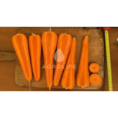 SV7381DH / СВ7381ДХ