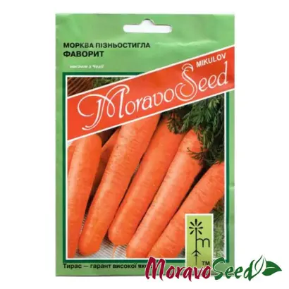 Favorit / Фаворит