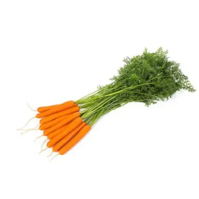 Hestan / Хестан