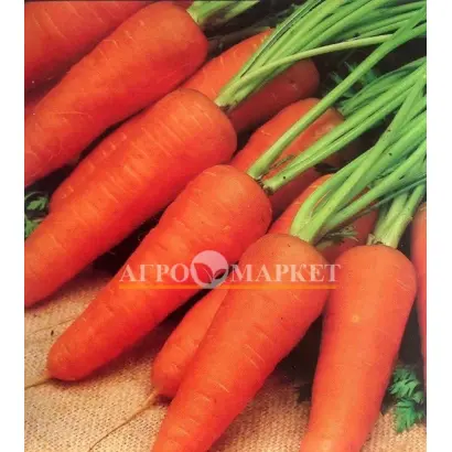 Red Core / Ред Кор